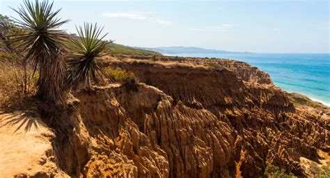 nude beach san diego|Black’s Beach in San Diego: Everything You Need To Know